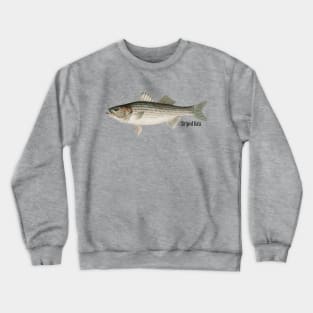 Striped Bass Fisherman Fishing Lake Crewneck Sweatshirt